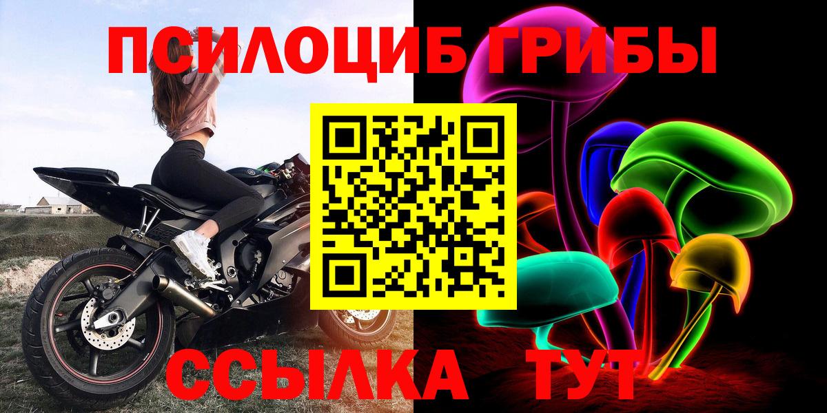 Псилоцибиновые грибы Psilocybe  Вход с VPN  Псилоцибиновые грибы GOLDEN TEACHER  Сухой Лог 